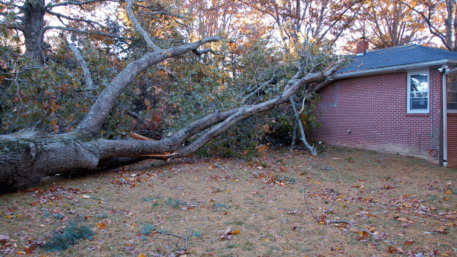 Common-Roof-Damage-Caused-by-Storms